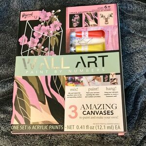 Wall art paint by numbers kit -3 canvases